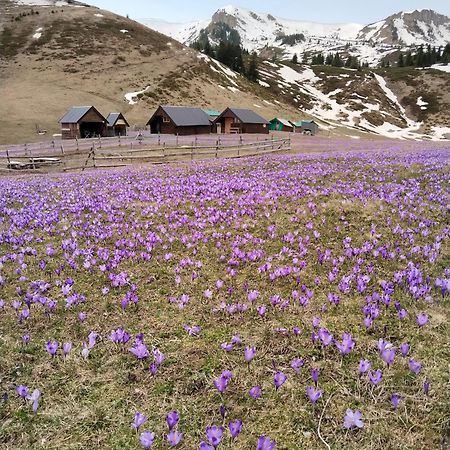 Katun Siska Medna Dolina Βίλα Μπέρανε Εξωτερικό φωτογραφία