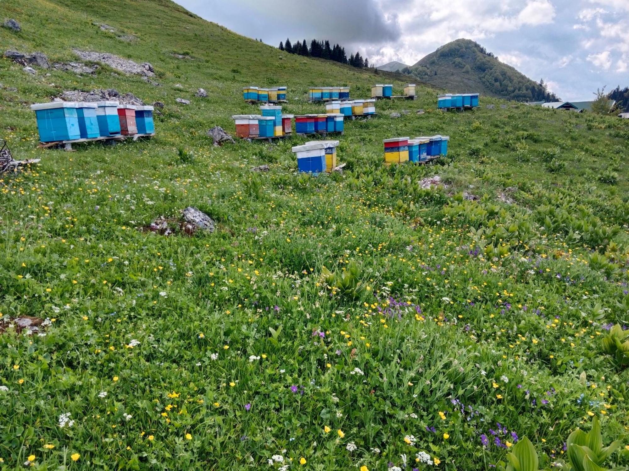 Katun Siska Medna Dolina Βίλα Μπέρανε Εξωτερικό φωτογραφία