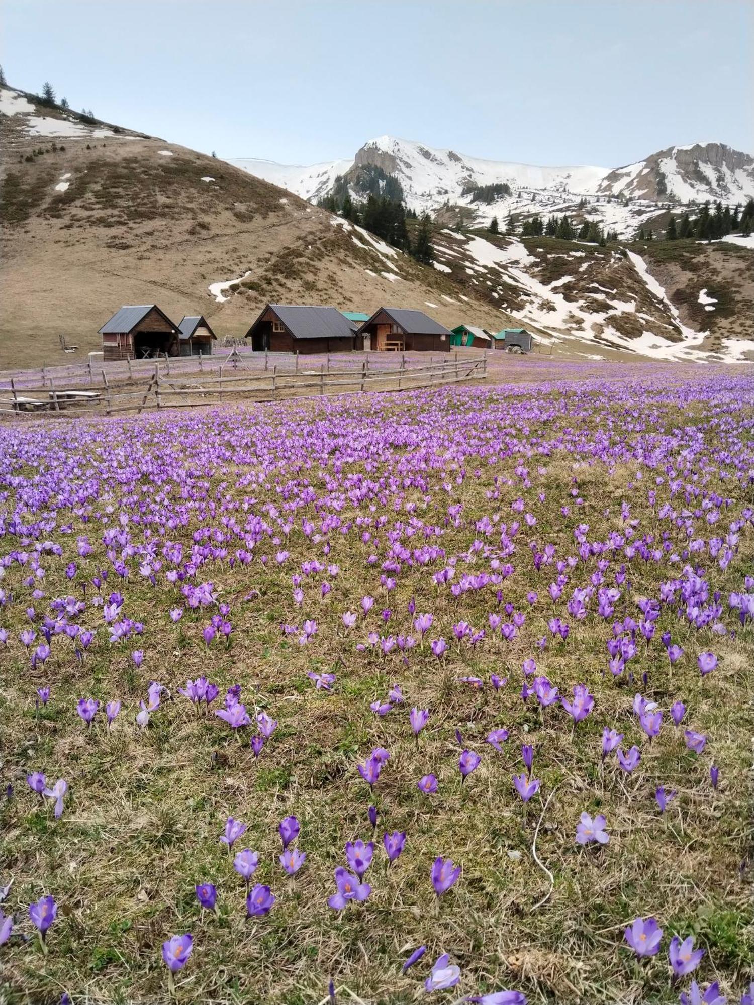 Katun Siska Medna Dolina Βίλα Μπέρανε Εξωτερικό φωτογραφία